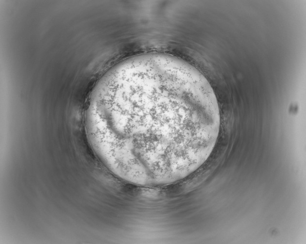 X0000090440709200708102027