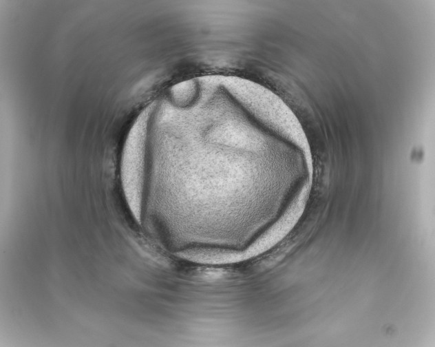 X0000090440710200708102027