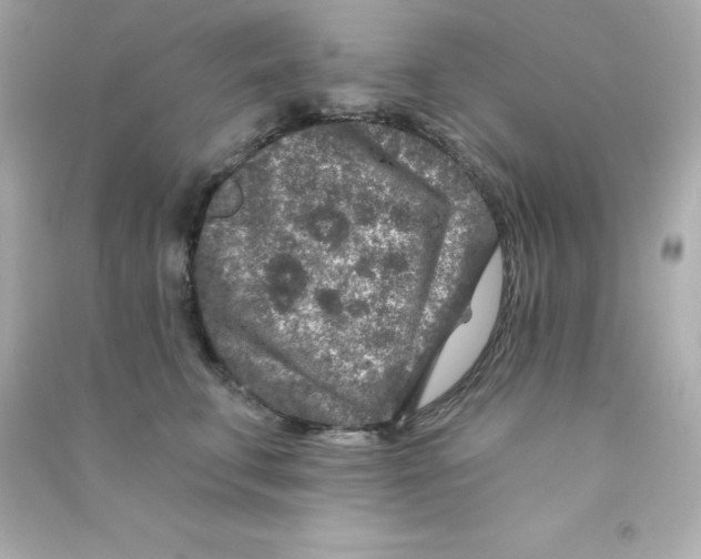 X0000090440711200708102027