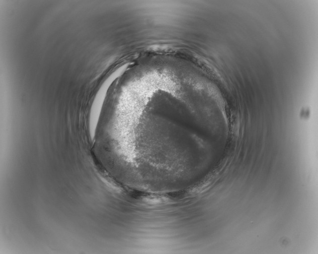 X0000090440712200708102027