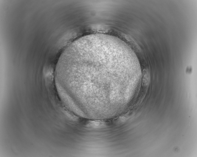 X0000090440713200708102027