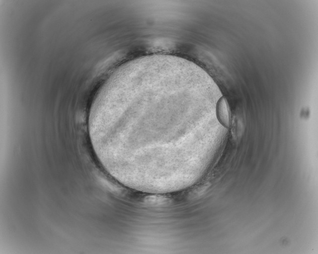 X0000090440714200708102027