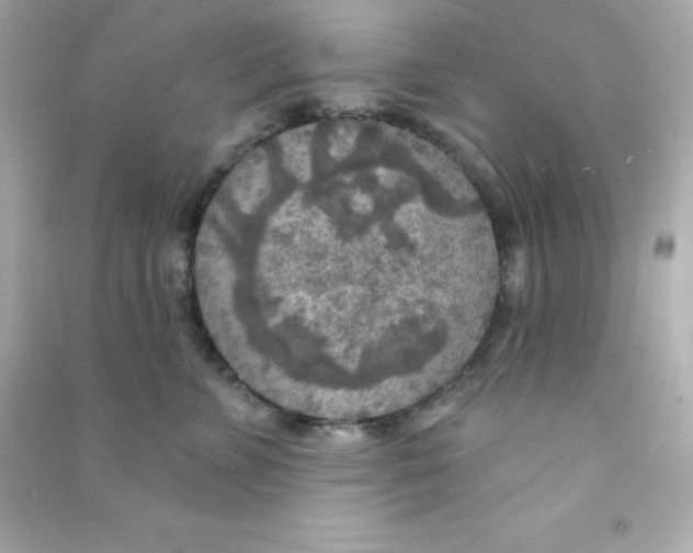 X0000090440715200708102027