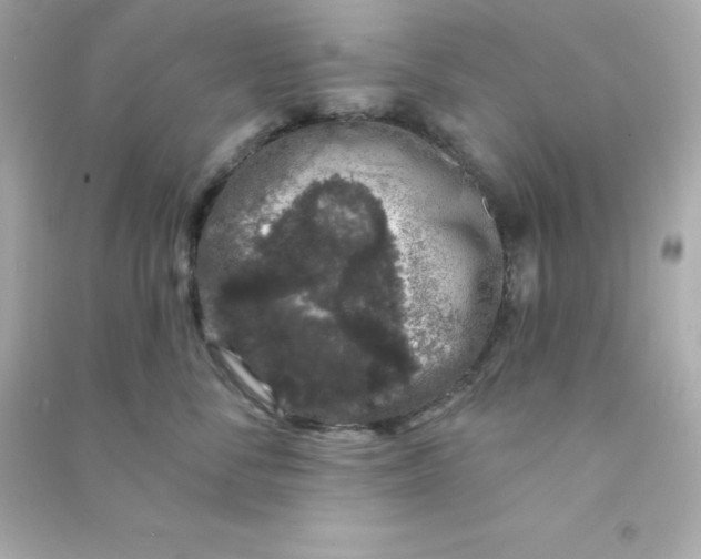X0000090440716200708102027