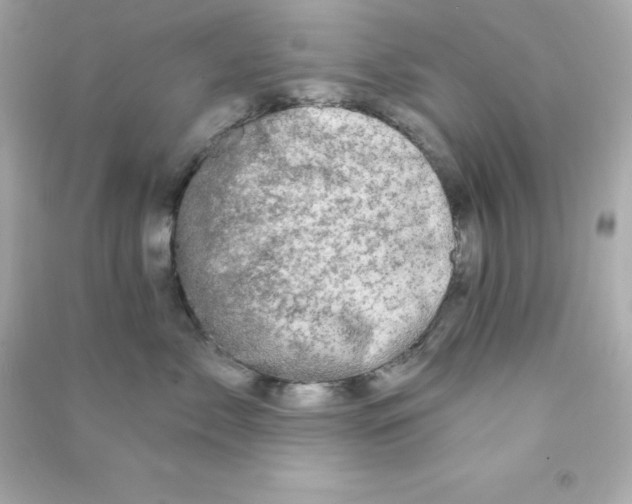 X0000090440717200708102027
