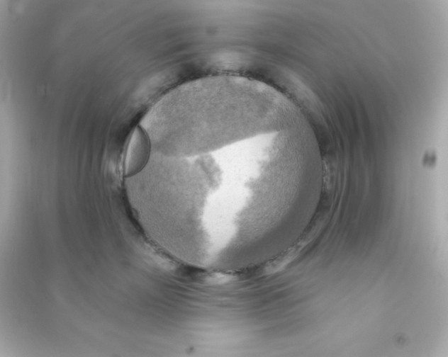 X0000090440718200708102027