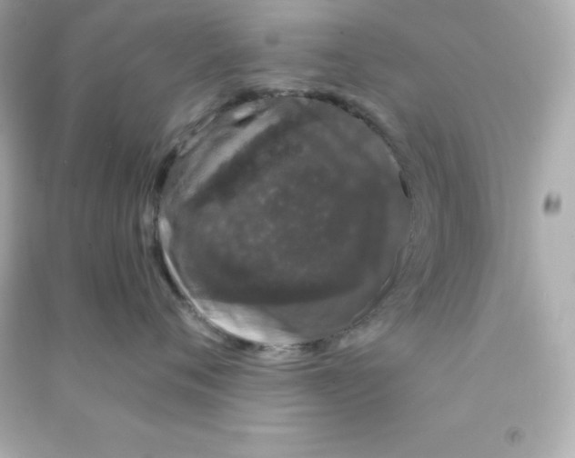 X0000090440720200708102027