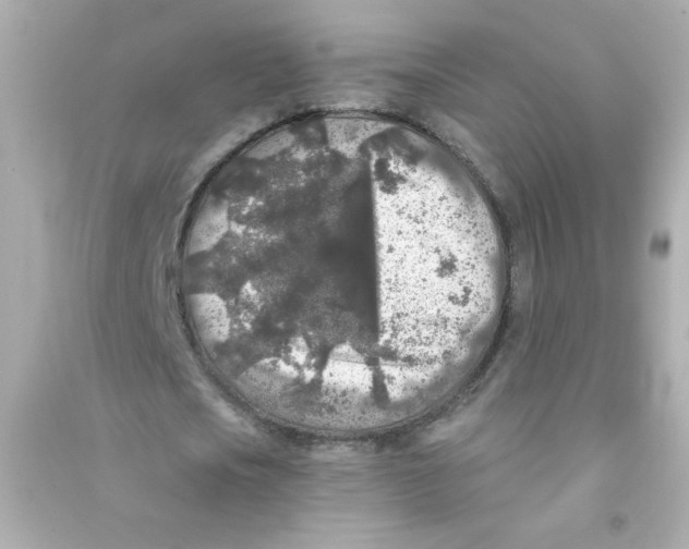 X0000090440721200708102026