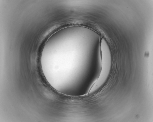 X0000090440722200708102026
