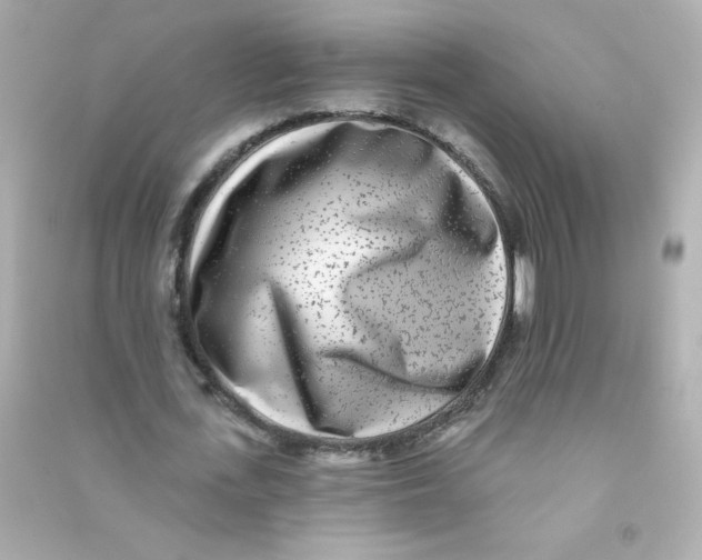 X0000090440723200708102026