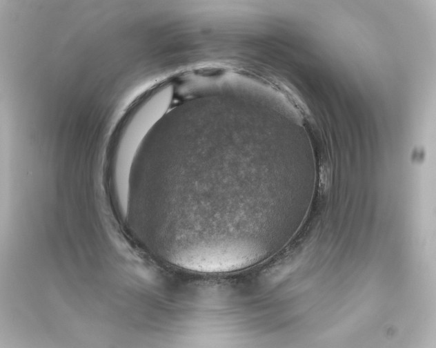 X0000090440724200708102026