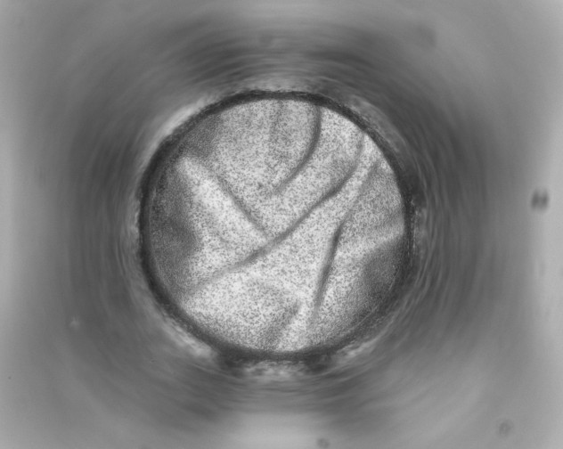 X0000090440727200708102026