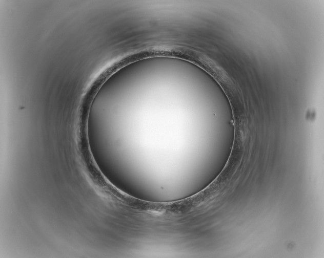 X0000090440728200708102027