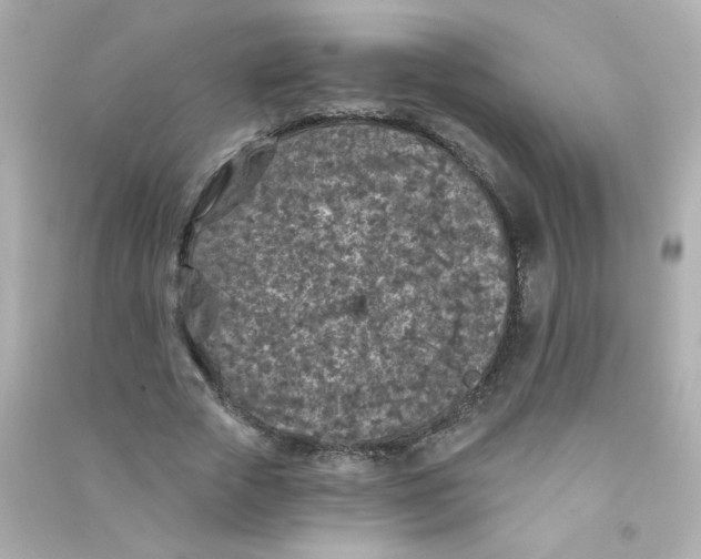 X0000090440729200708102027