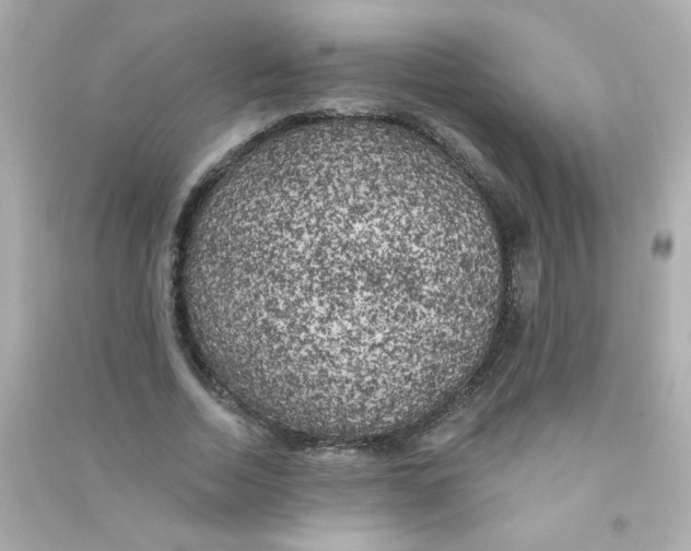X0000090440730200708102027