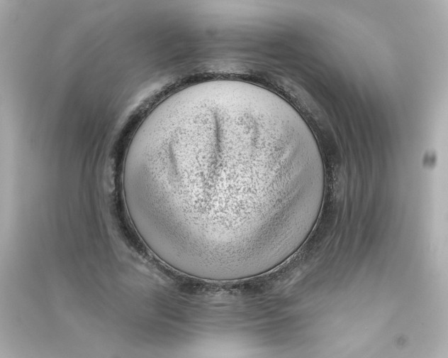 X0000090440731200708102027