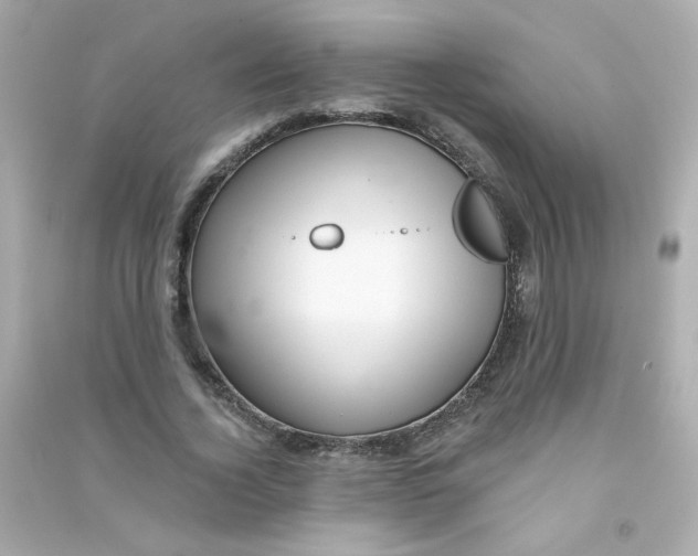 X0000090440732200708102027