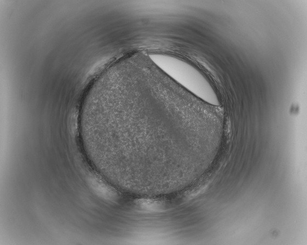 X0000090440733200708102027
