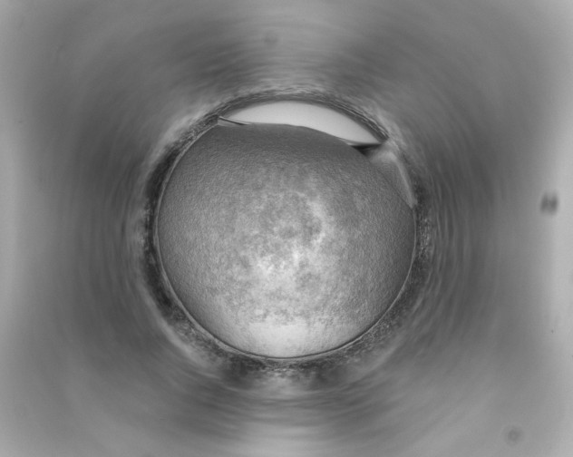 X0000090440736200708102027