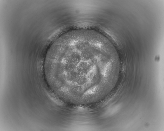 X0000090440737200708102027