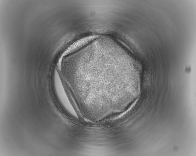 X0000090440738200708102027