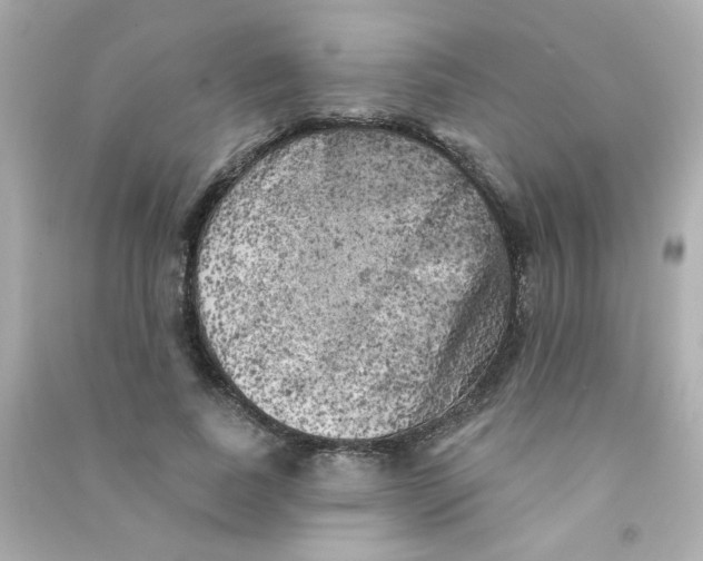 X0000090440739200708102027