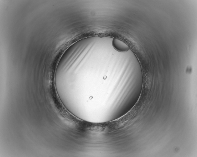X0000090440740200708102027