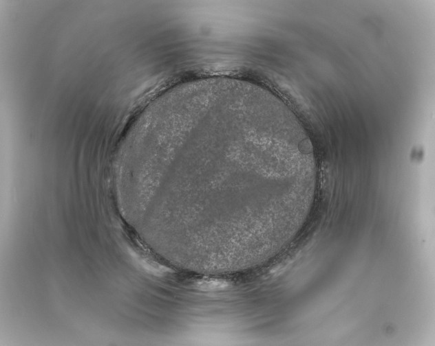 X0000090440741200708102027