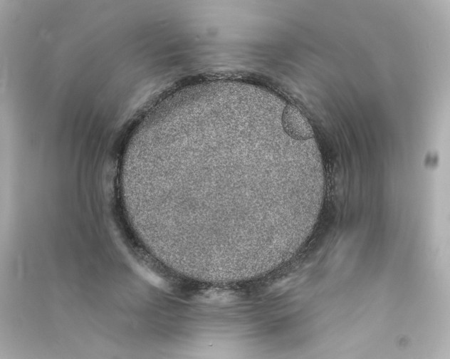 X0000090440742200708102027