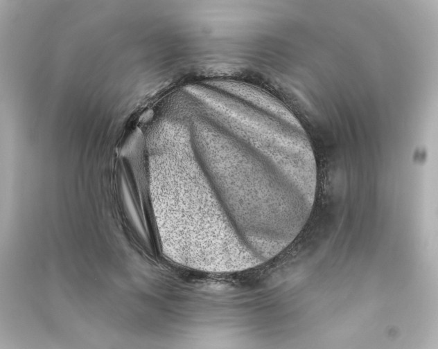 X0000090440743200708102027