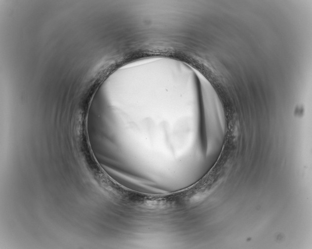 X0000090440744200708102027