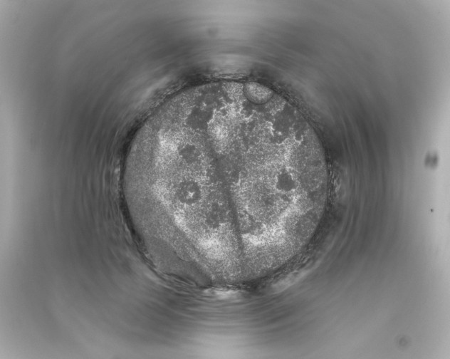X0000090440745200708102027