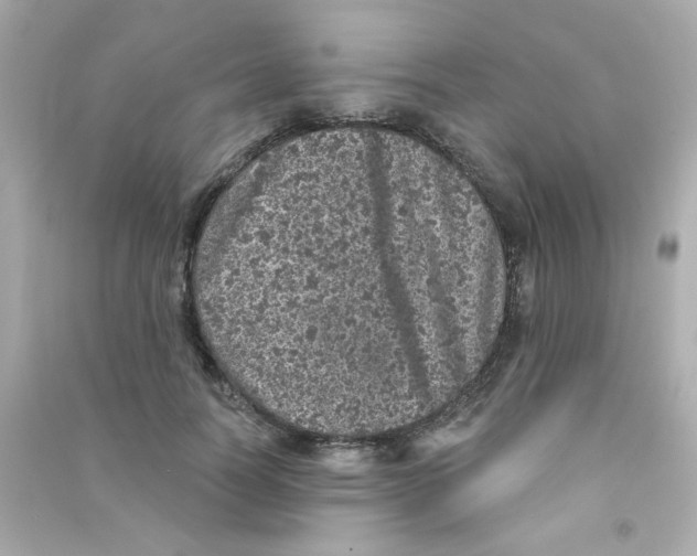 X0000090440746200708102027