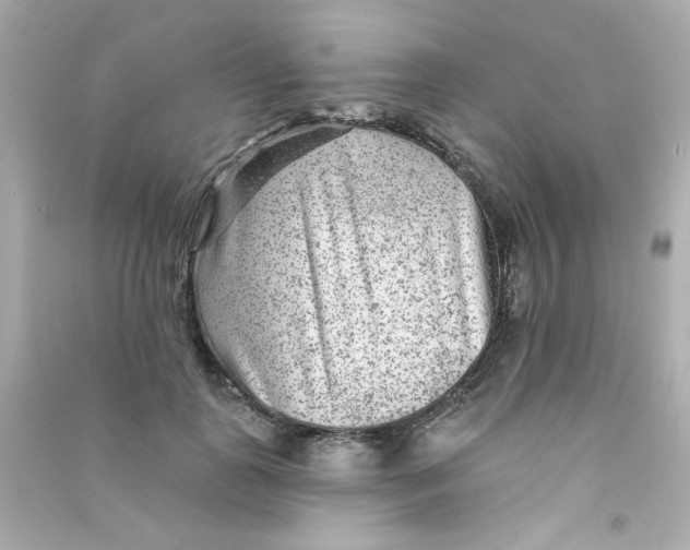 X0000090440747200708102027
