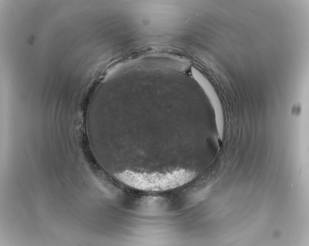 X0000090440748200708102027