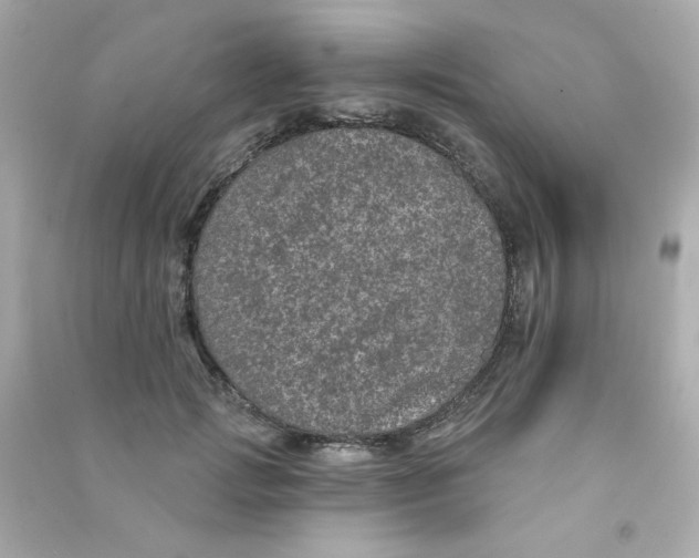 X0000090440749200708102027