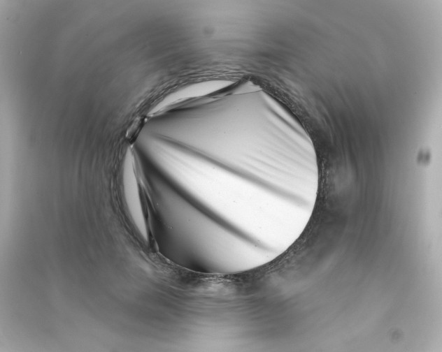 X0000090440750200708102027