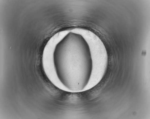 X0000090440751200708102027
