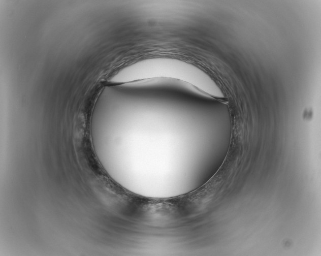 X0000090440752200708102027