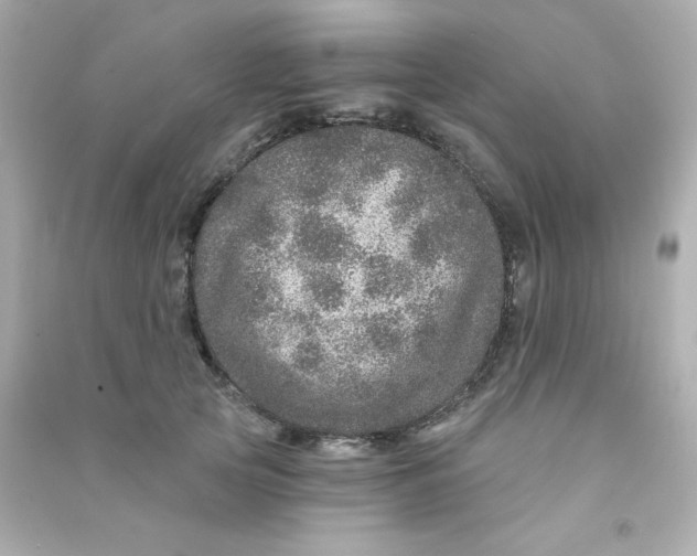 X0000090440753200708102027