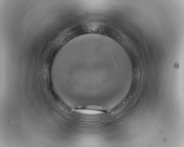 X0000090440754200708102027
