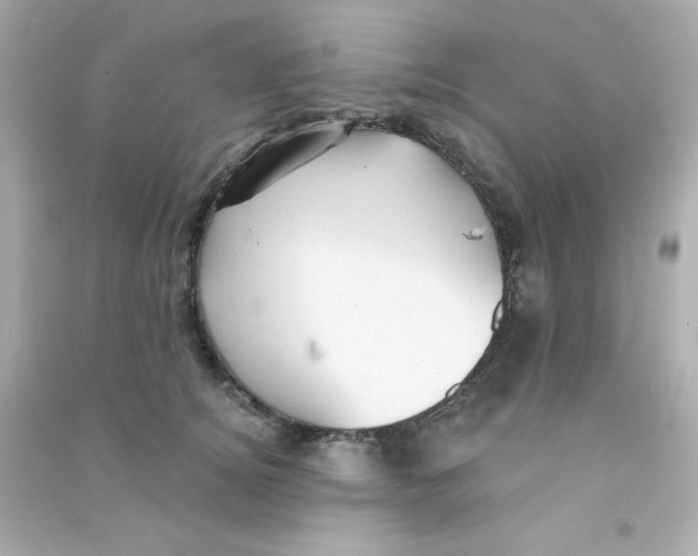 X0000090440756200708102027
