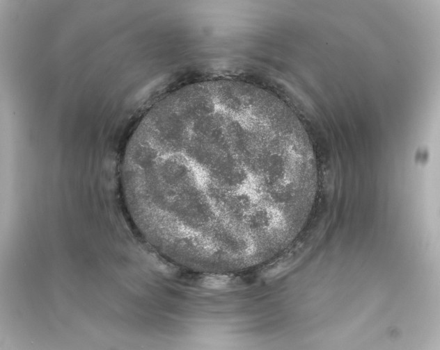 X0000090440757200708102027