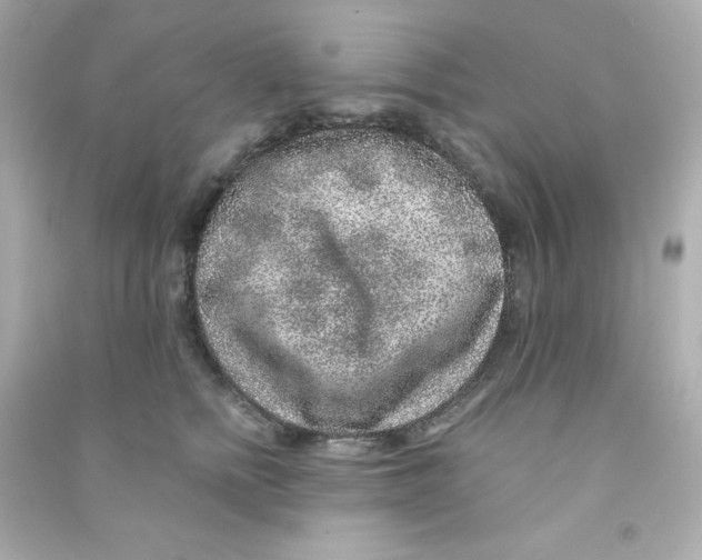 X0000090440758200708102027
