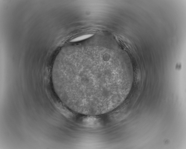 X0000090440759200708102027