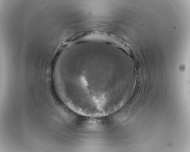 X0000090440760200708102027