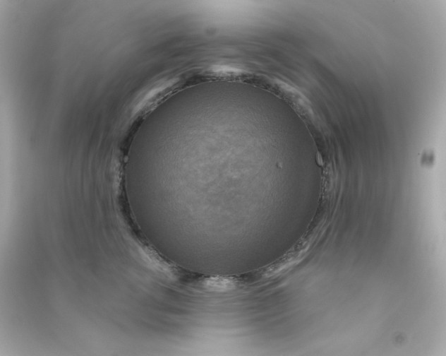 X0000090440762200708102027