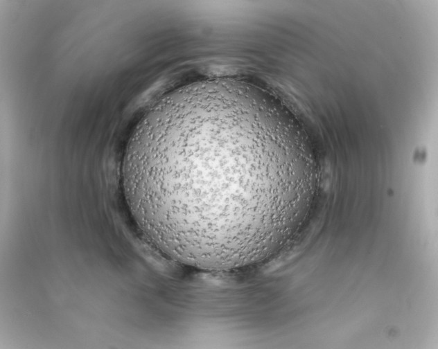 X0000090440763200708102027