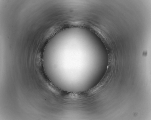 X0000090440764200708102027