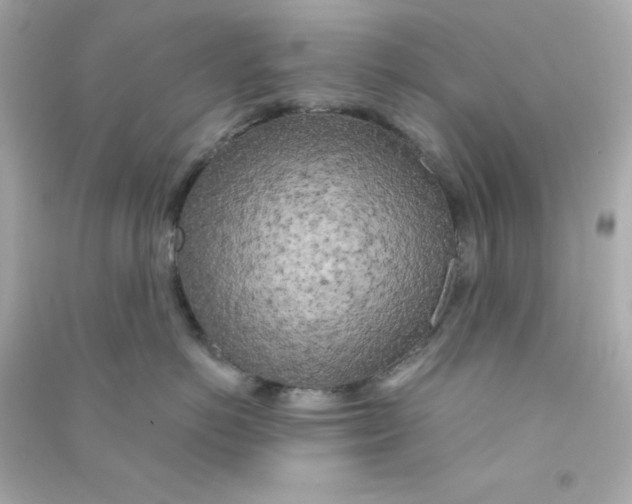 X0000090440766200708102027